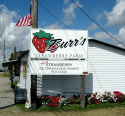 Burr's Berry Stand